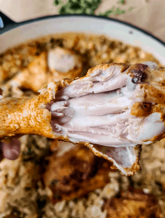 Close up of half eaten chicken drumstick showing how juicy it is and tender