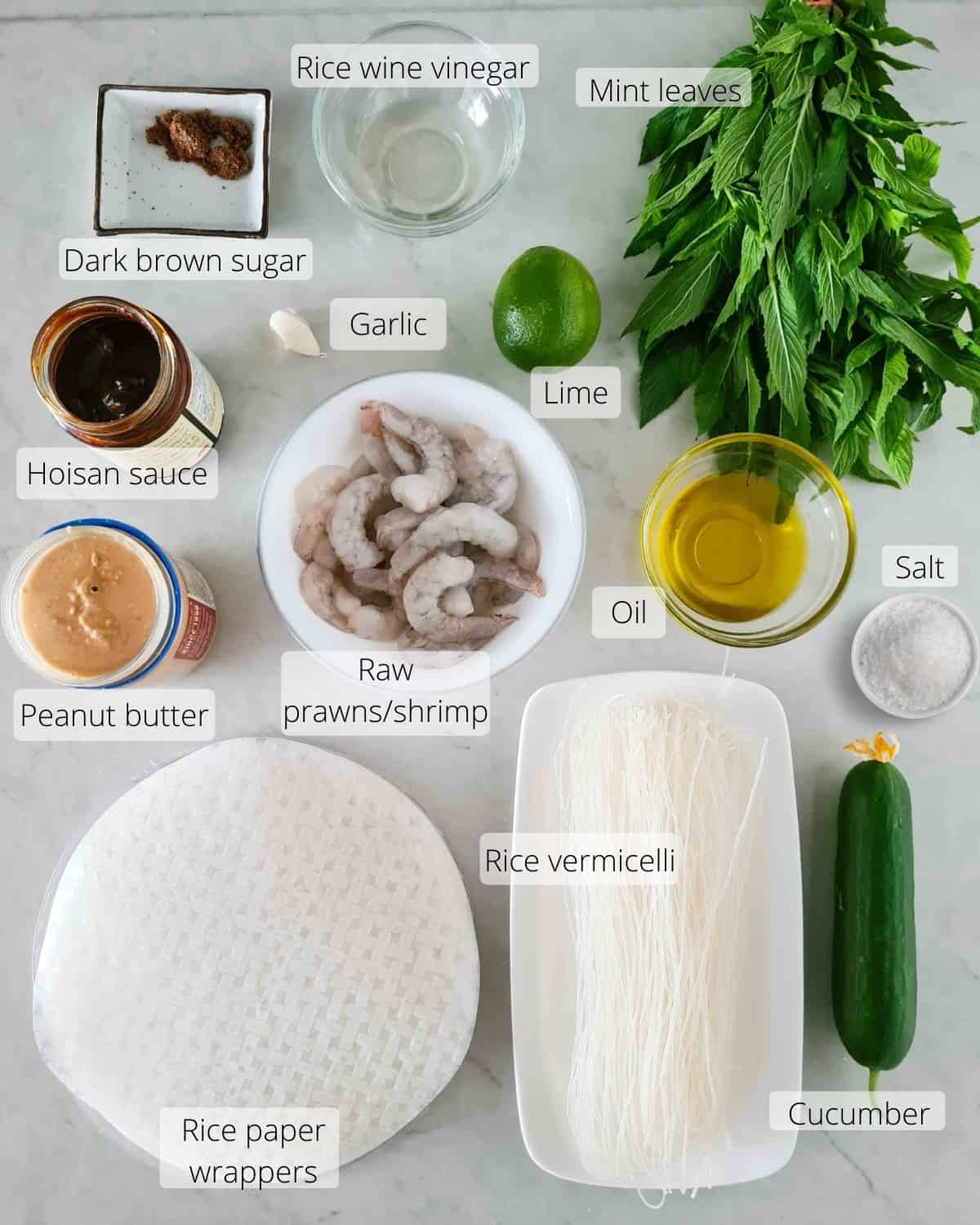 Overhead shot of all ingredients required for this recipe