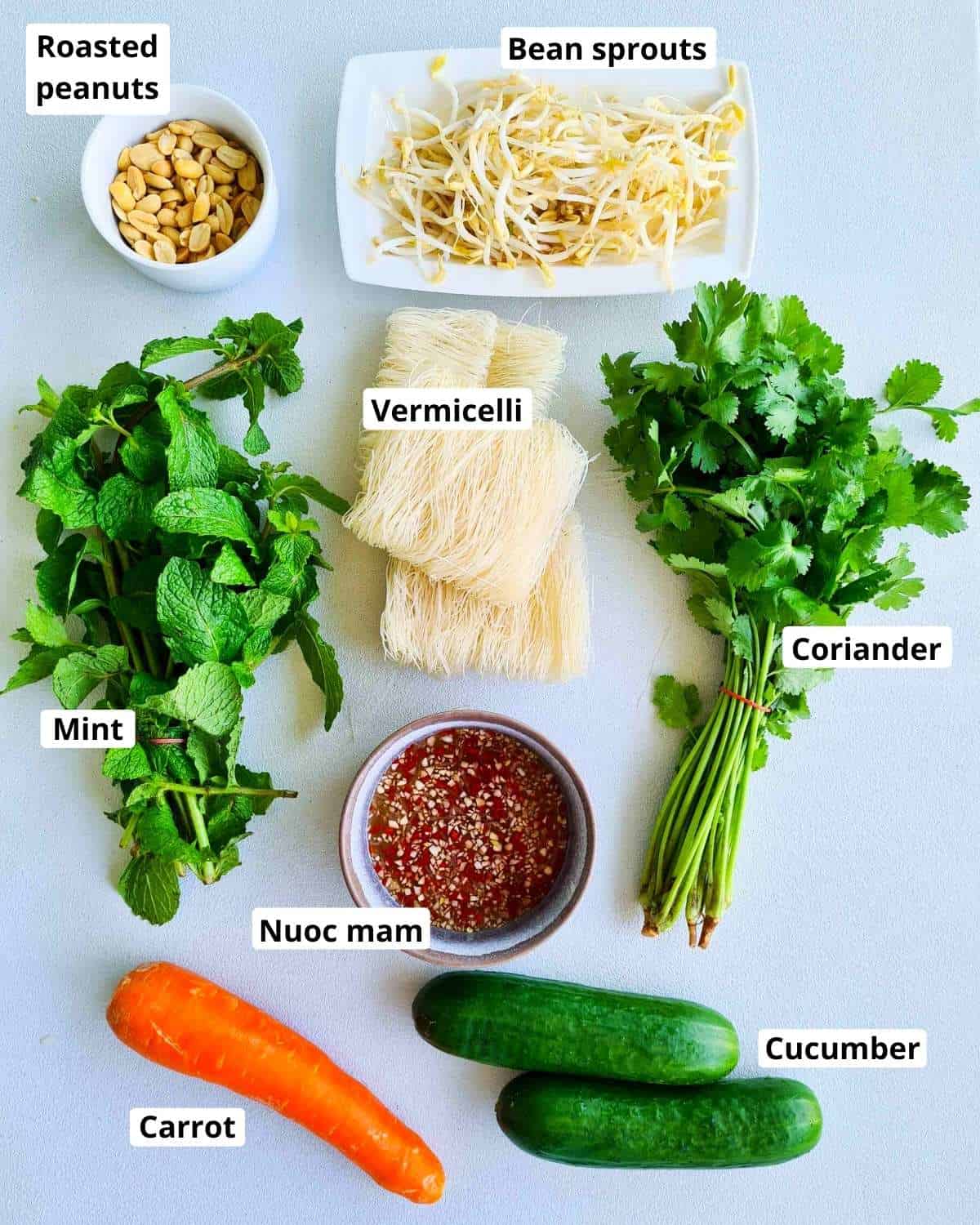 Ingredients required to make a vietnamese noodle salad, labeled