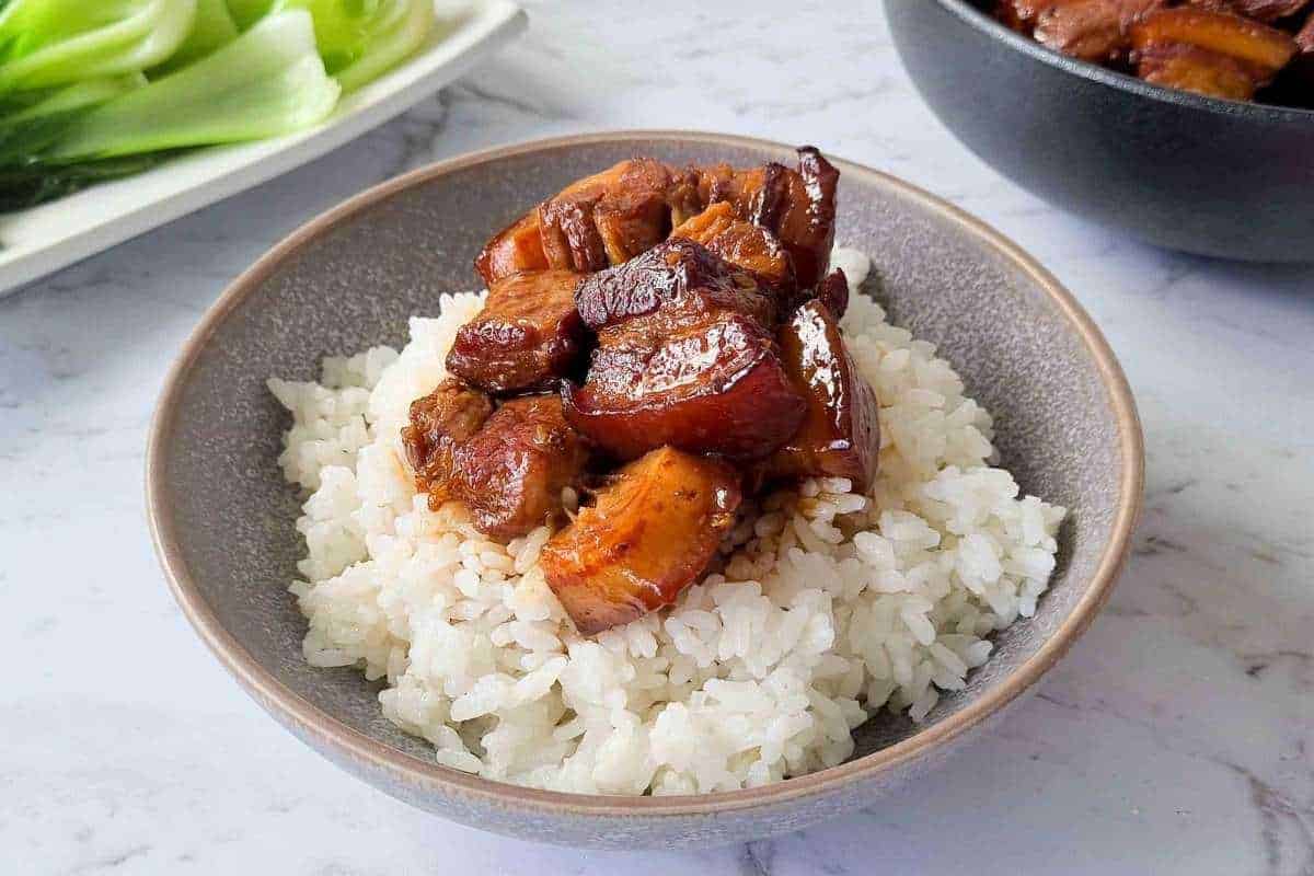 A bowl of rice topped with hong shao rou