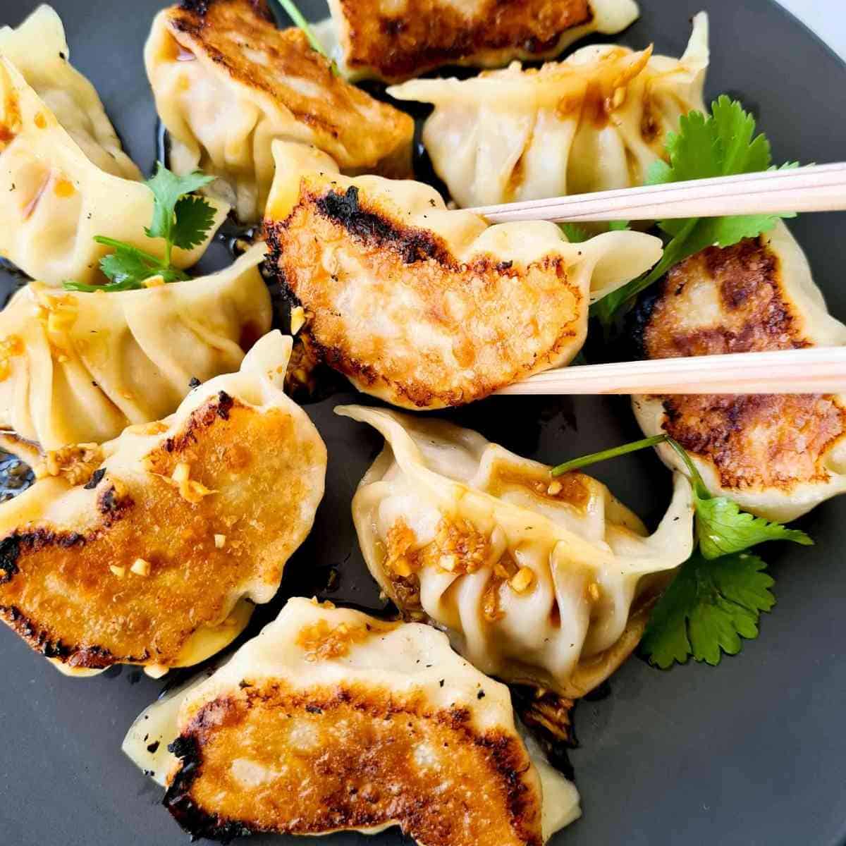 Pan Fried Pork Belly Dumplings At Ryder Sturdee Blog