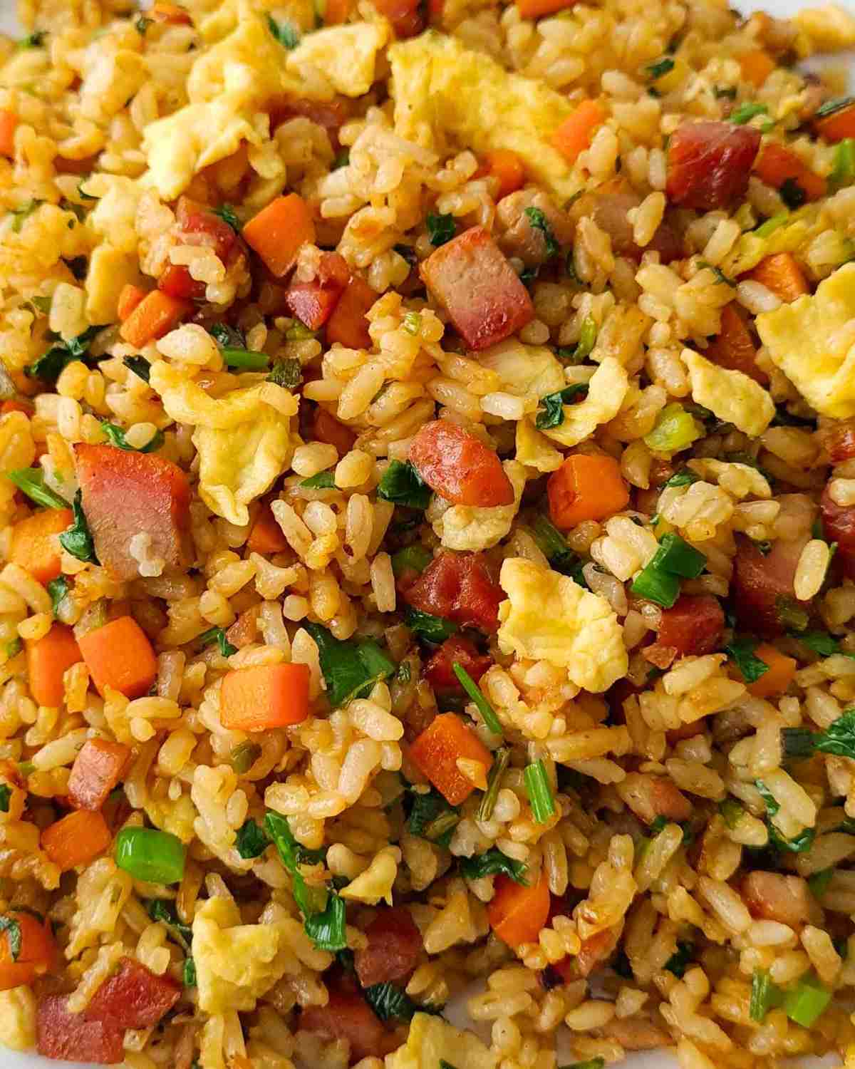 Close up of fried rice showing small pieces of fried rice, BBQ pork, eggs, carrots and herbs