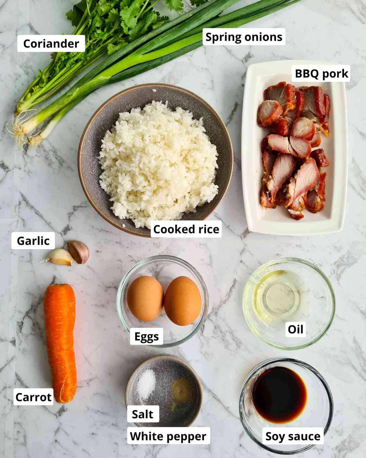 Ingredients required to make Chinese BBQ pork fried rice, each item labeled