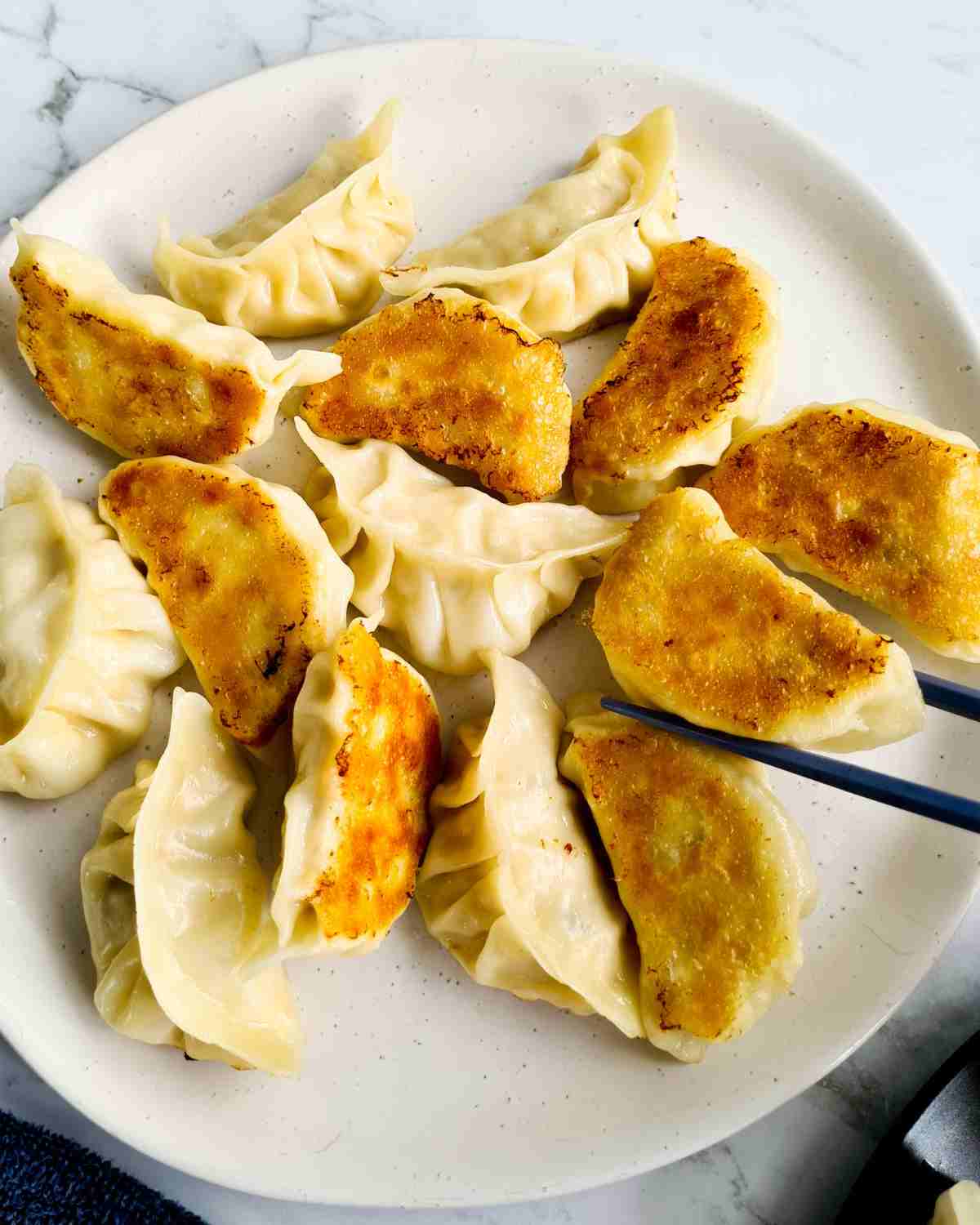 Pan fried dumplings on a large white plate