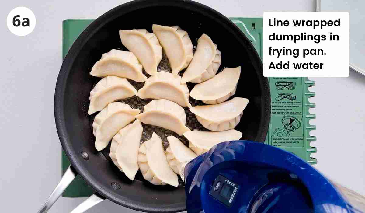 Water being added into a frying pan lined neatly with dumplings with captions