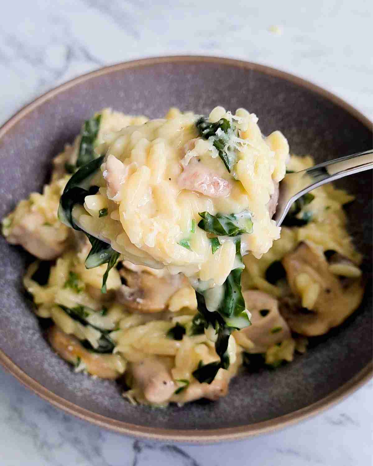 A heaped spoonful of creamy pasta over a bowl
