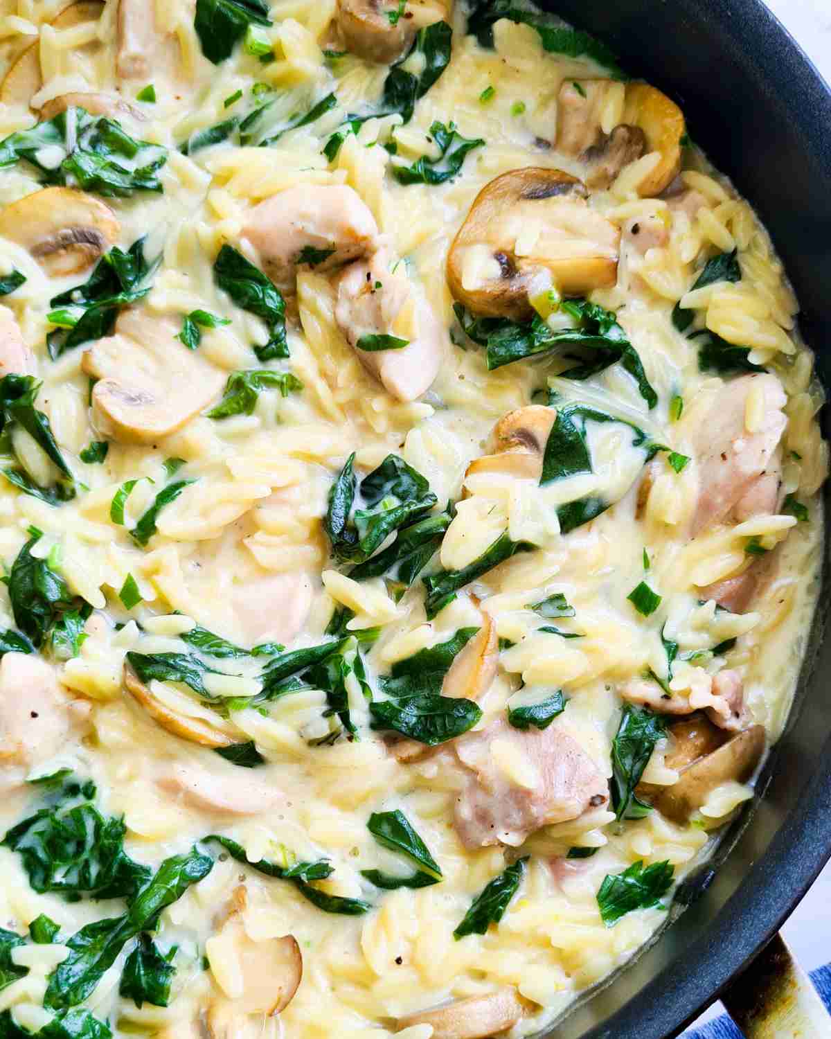 Close up of a pan of of creamy chicken orzo pasta, silverbeet and mushrooms