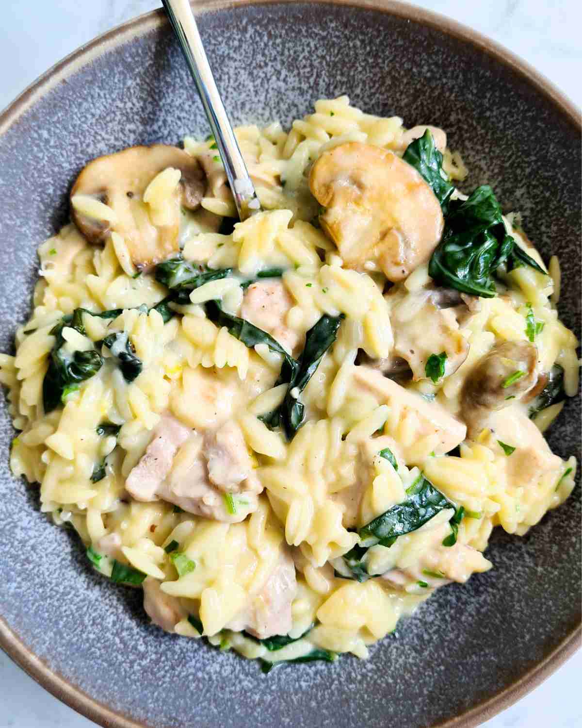 Close up bowl of creamy chicken orzo with a spoon